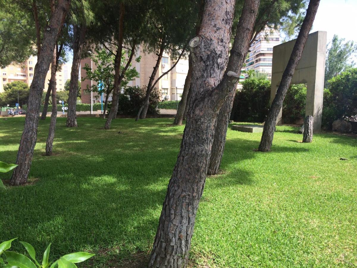 Club Del Mar L25 Apartment Alicante Bagian luar foto